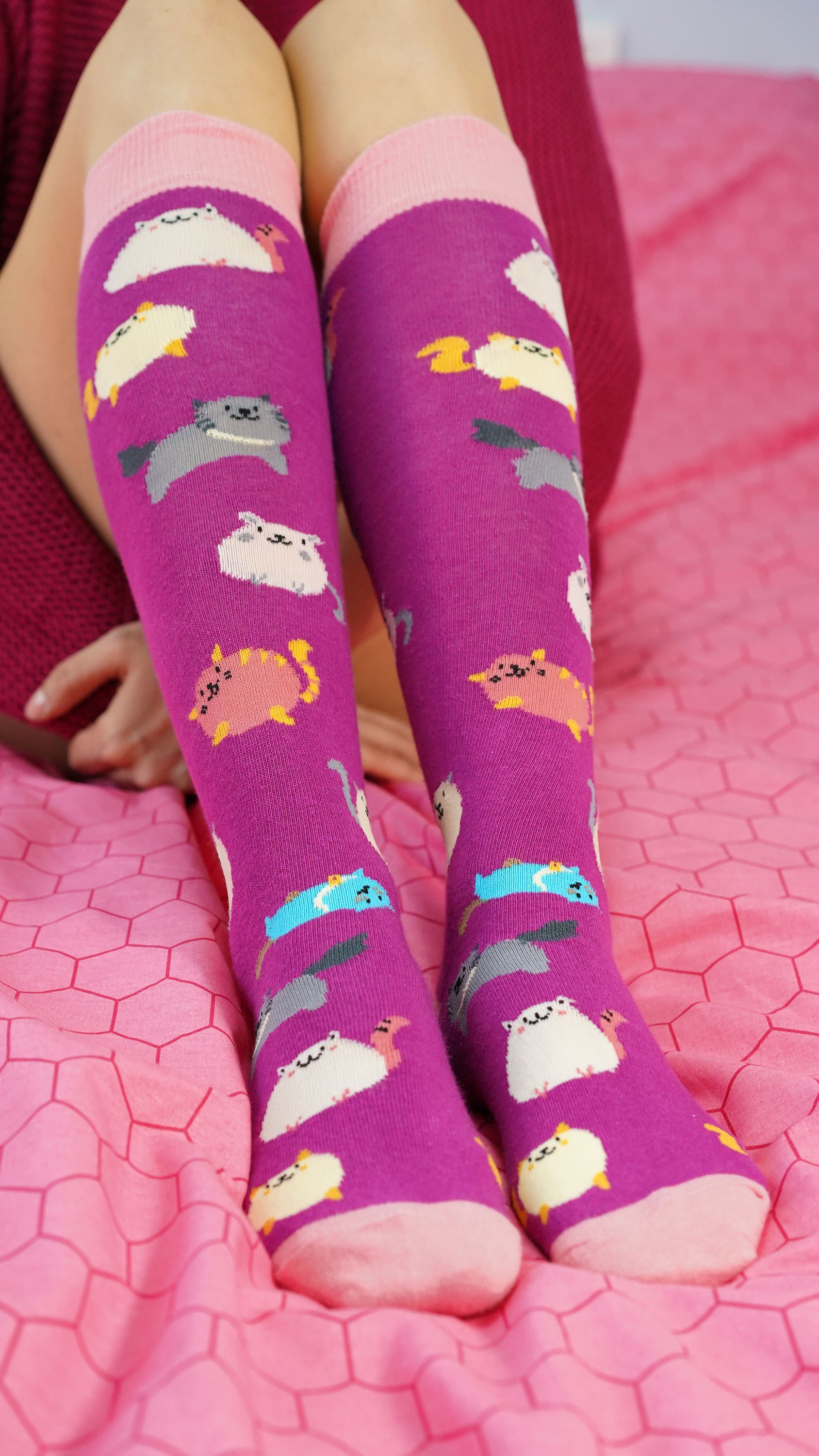 Colorful Women's Fatty Cats Knee High Socks featuring playful cat designs, made from soft Turkish cotton for comfort and style.