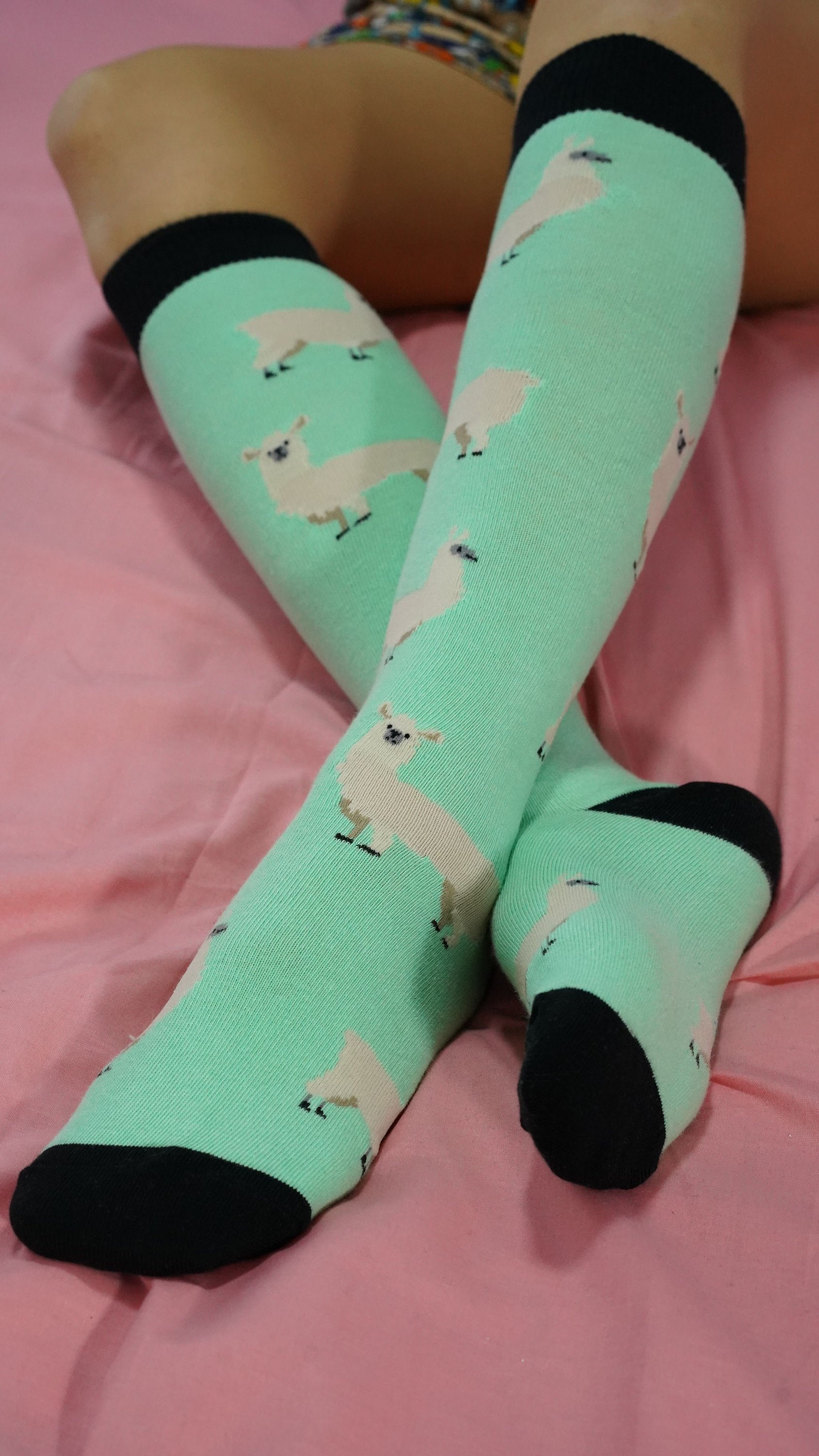 A pair of colorful Women's Llama Knee High Socks featuring a fun llama design, perfect for adding a stylish touch to any outfit.