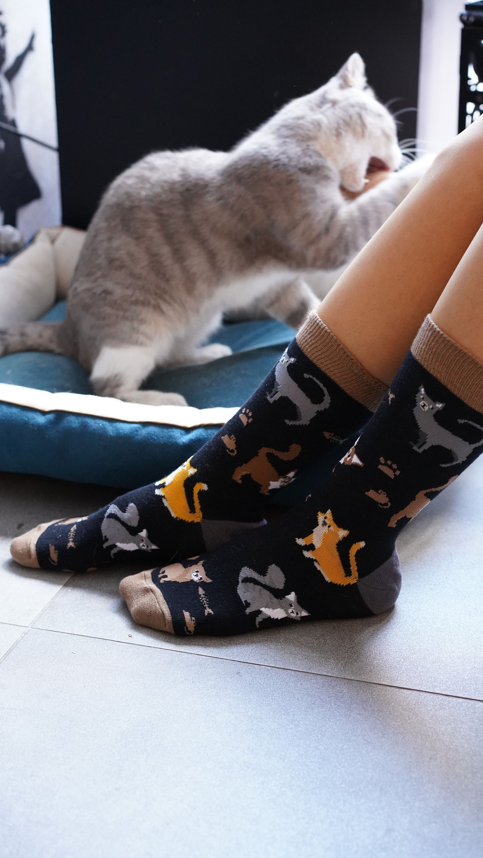 Colorful Women's Mrs. Kitty Socks made from premium cotton, featuring trendy patterns and a comfortable fit.