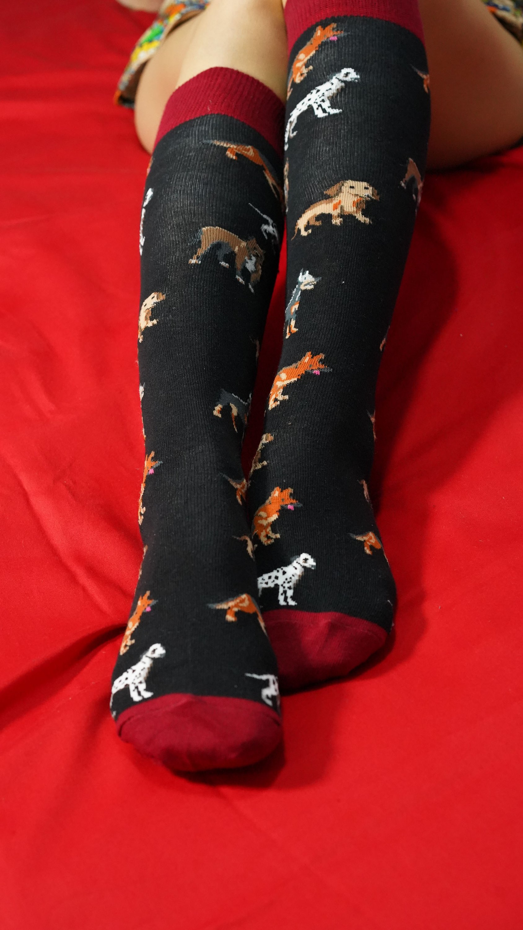 Colorful Women's Multi Dogs Knee High Socks featuring fun dog patterns, made from soft Turkish cotton for comfort and style.