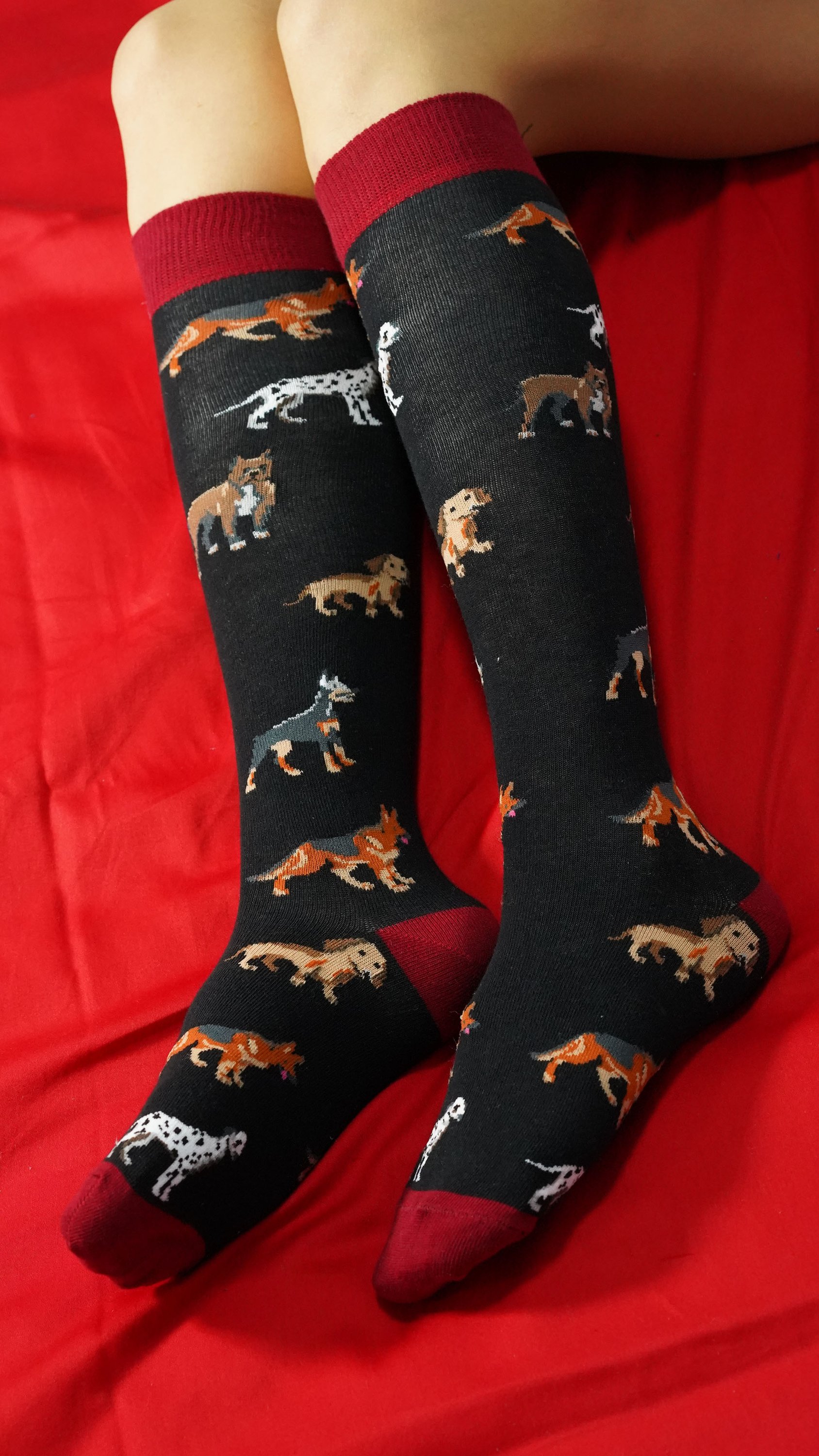 Colorful Women's Multi Dogs Knee High Socks featuring fun dog patterns, made from soft Turkish cotton for comfort and style.