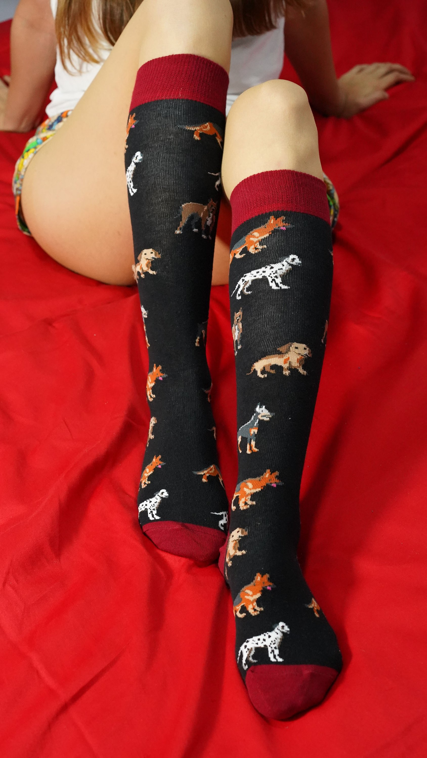 Colorful Women's Multi Dogs Knee High Socks featuring fun dog patterns, made from soft Turkish cotton for comfort and style.