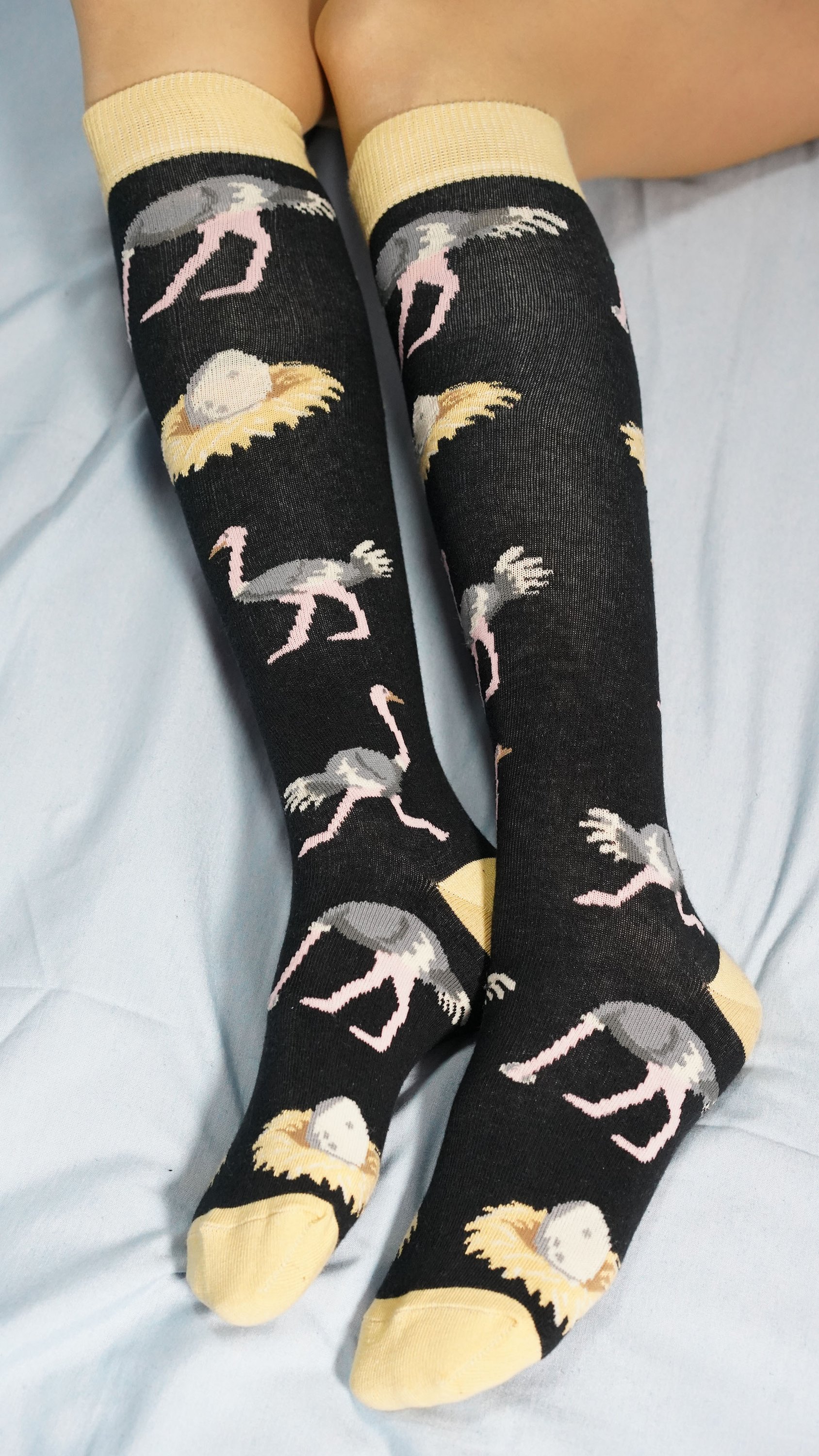 Colorful Women's Ostrich Knee High Socks displayed elegantly, showcasing trendy patterns and soft fabric.