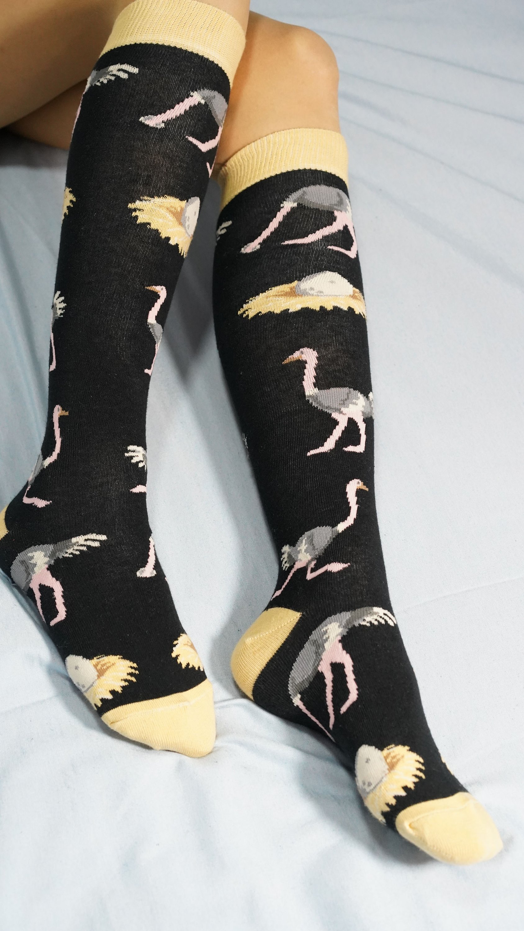 Colorful Women's Ostrich Knee High Socks displayed elegantly, showcasing trendy patterns and soft fabric.