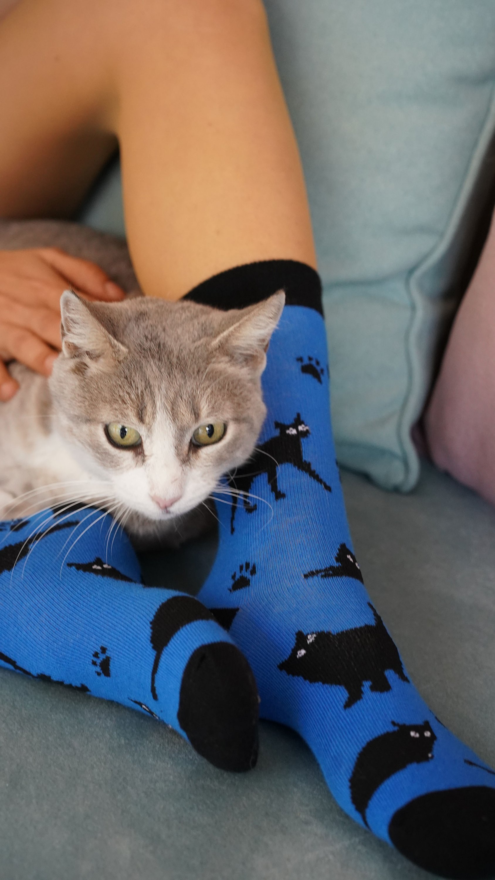 Colorful Women's Shadow Cat Socks featuring trendy patterns and premium cotton material, perfect for stylish comfort.