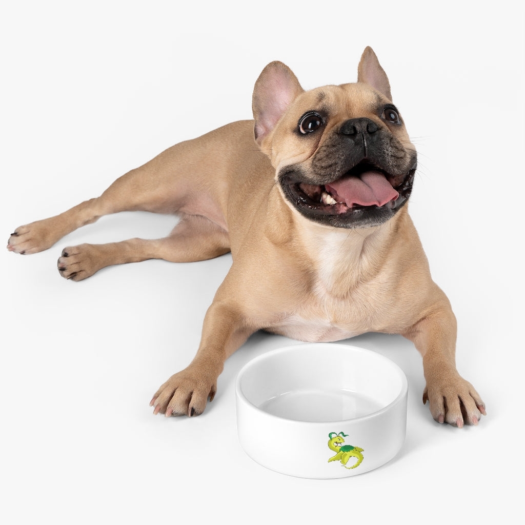 A stylish Alpro Pet Bowl made of white ceramic, featuring a customizable design area for personalization, measuring 6 inches in diameter.