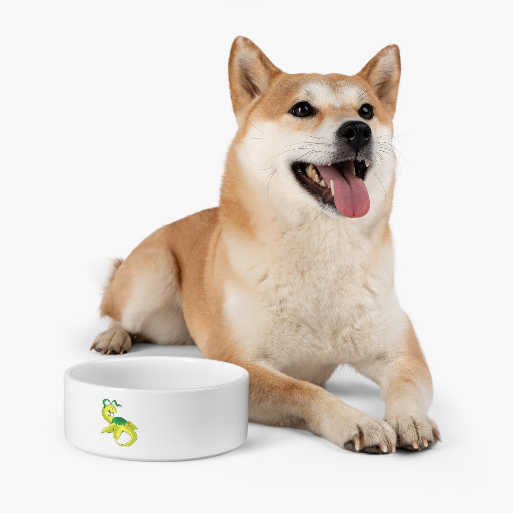 A stylish Alpro Pet Bowl made of white ceramic, featuring a customizable design area for personalization, measuring 6 inches in diameter.