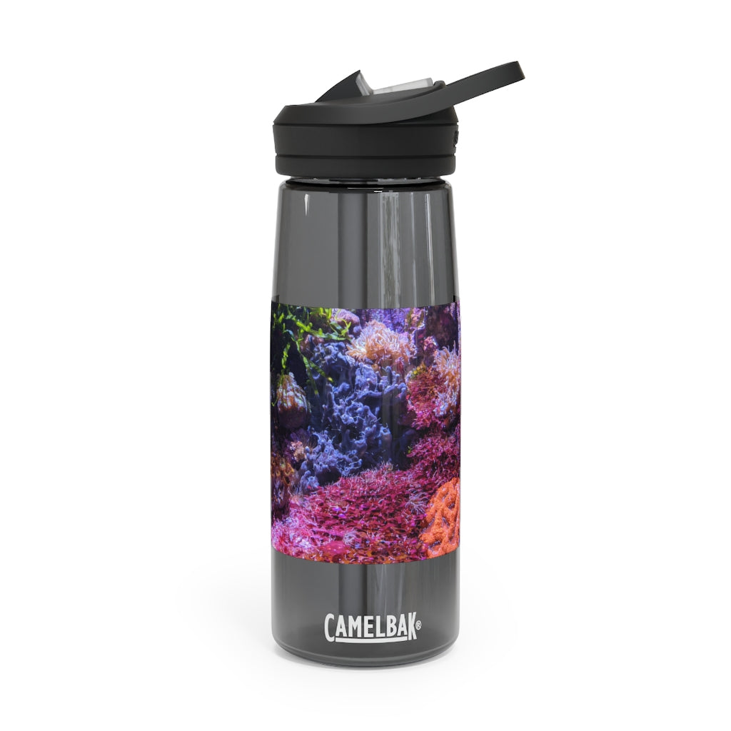 Aquarium CamelBak Eddy® Water Bottle in 20oz and 25oz sizes, showcasing its durable Tritan™ material and spill-proof design.