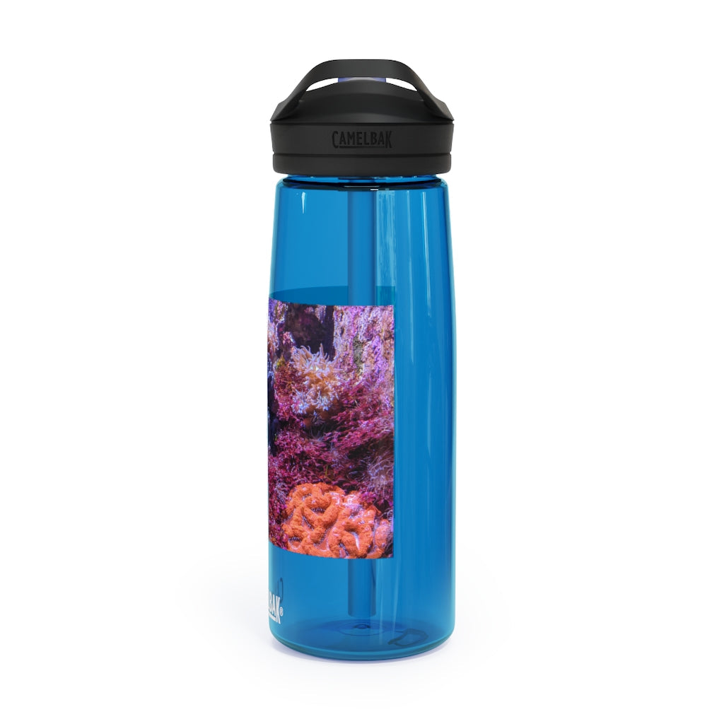 Aquarium CamelBak Eddy® Water Bottle in 20oz and 25oz sizes, showcasing its durable Tritan™ material and spill-proof design.