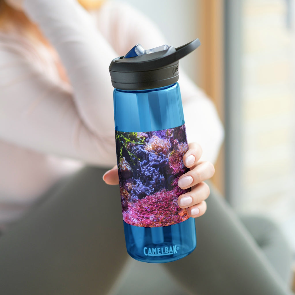 Aquarium CamelBak Eddy® Water Bottle in 20oz and 25oz sizes, showcasing its durable Tritan™ material and spill-proof design.