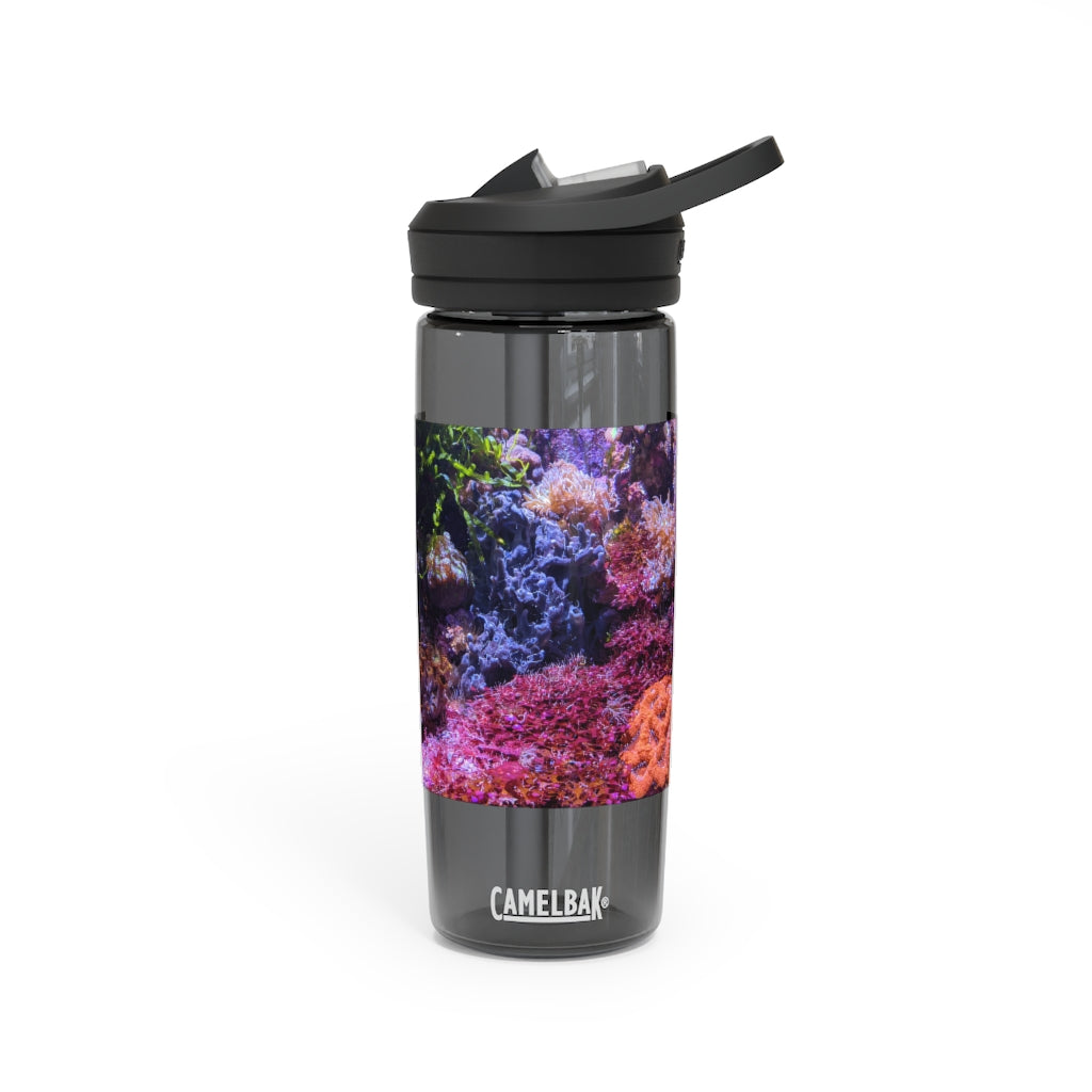 Aquarium CamelBak Eddy® Water Bottle in 20oz and 25oz sizes, showcasing its durable Tritan™ material and spill-proof design.