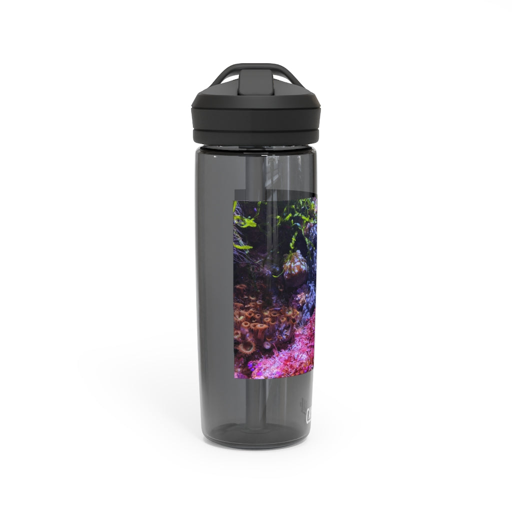 Aquarium CamelBak Eddy® Water Bottle in 20oz and 25oz sizes, showcasing its durable Tritan™ material and spill-proof design.