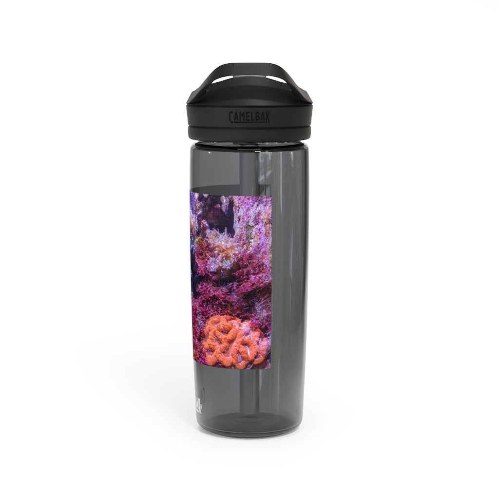 Aquarium CamelBak Eddy® Water Bottle in 20oz and 25oz sizes, showcasing its durable Tritan™ material and spill-proof design.