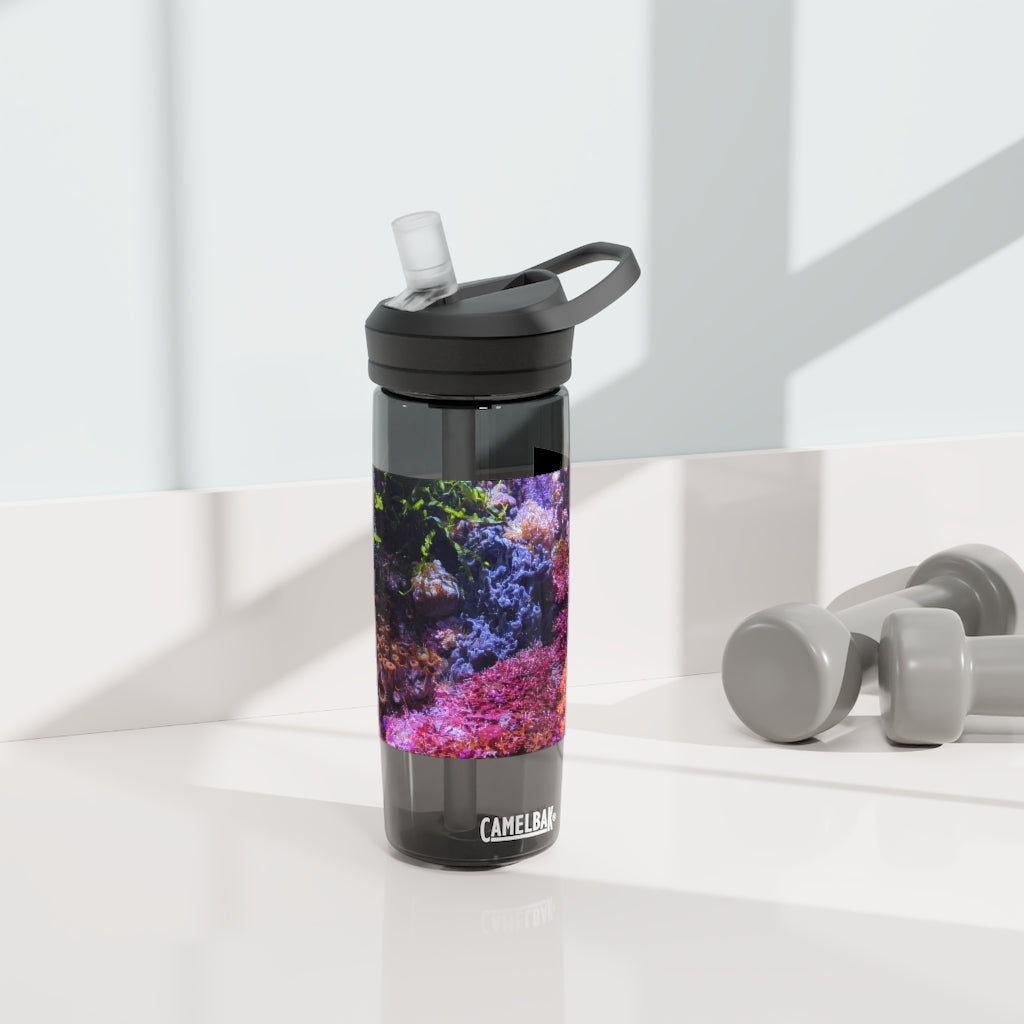 Aquarium CamelBak Eddy® Water Bottle in 20oz and 25oz sizes, showcasing its durable Tritan™ material and spill-proof design.