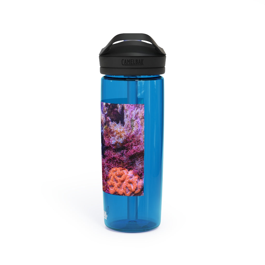 Aquarium CamelBak Eddy® Water Bottle in 20oz and 25oz sizes, showcasing its durable Tritan™ material and spill-proof design.