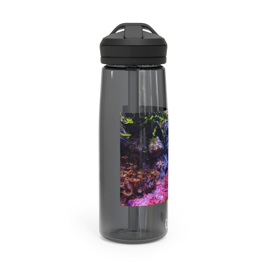 Aquarium CamelBak Eddy® Water Bottle in 20oz and 25oz sizes, showcasing its durable Tritan™ material and spill-proof design.