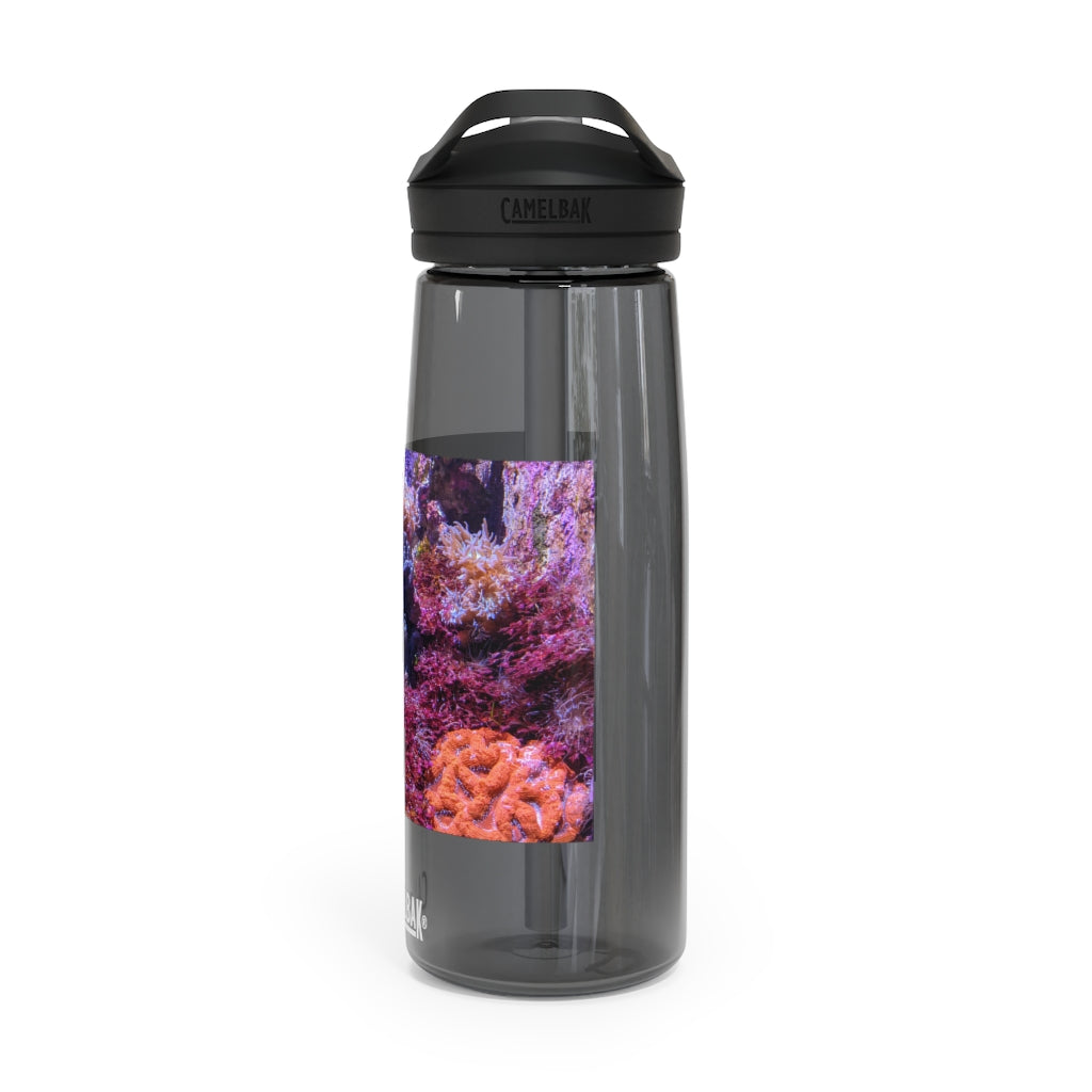 Aquarium CamelBak Eddy® Water Bottle in 20oz and 25oz sizes, showcasing its durable Tritan™ material and spill-proof design.