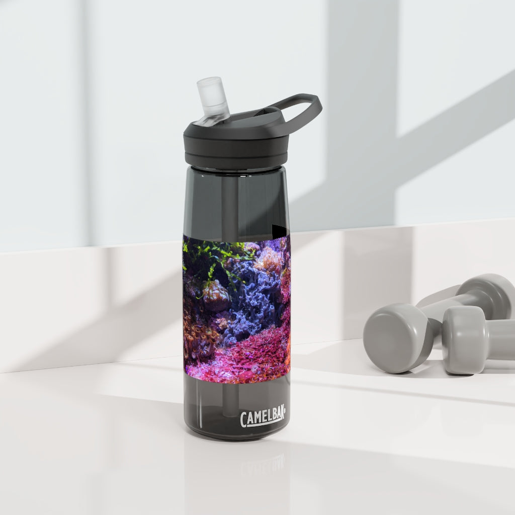 Aquarium CamelBak Eddy® Water Bottle in 20oz and 25oz sizes, showcasing its durable Tritan™ material and spill-proof design.