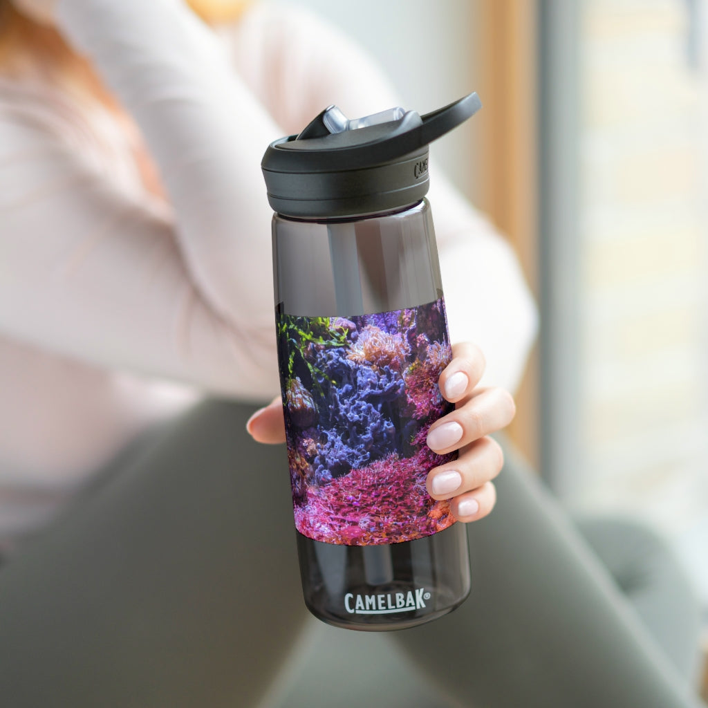 Aquarium CamelBak Eddy® Water Bottle in 20oz and 25oz sizes, showcasing its durable Tritan™ material and spill-proof design.