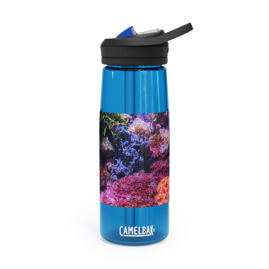 Aquarium CamelBak Eddy® Water Bottle in 20oz and 25oz sizes, showcasing its durable Tritan™ material and spill-proof design.