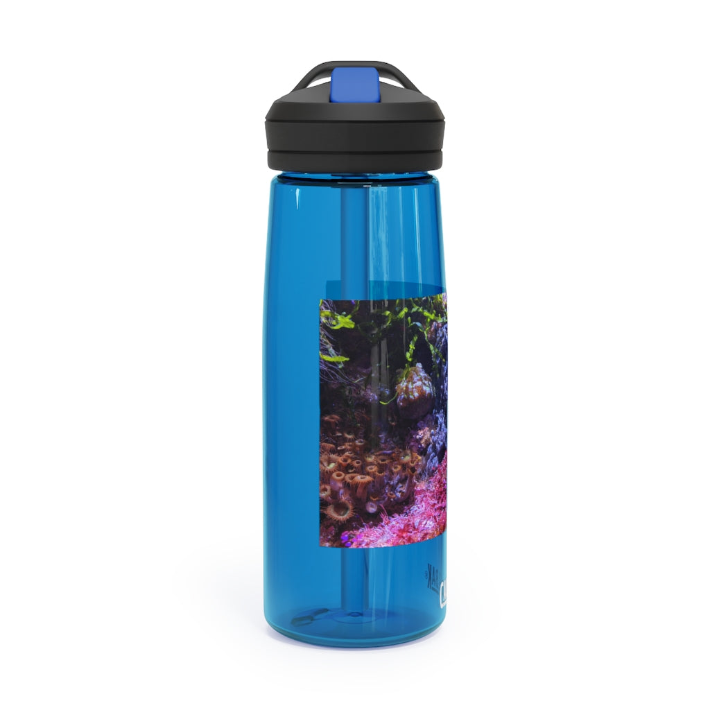 Aquarium CamelBak Eddy® Water Bottle in 20oz and 25oz sizes, showcasing its durable Tritan™ material and spill-proof design.