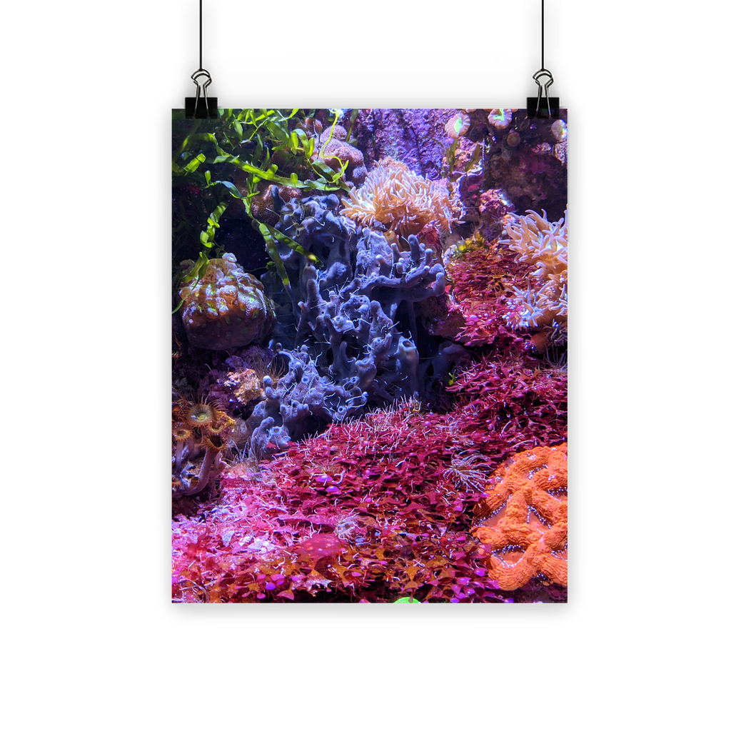 Aquarium Classic Poster featuring vibrant aquatic life printed on semi-gloss paper with Eco-Solvent inks.