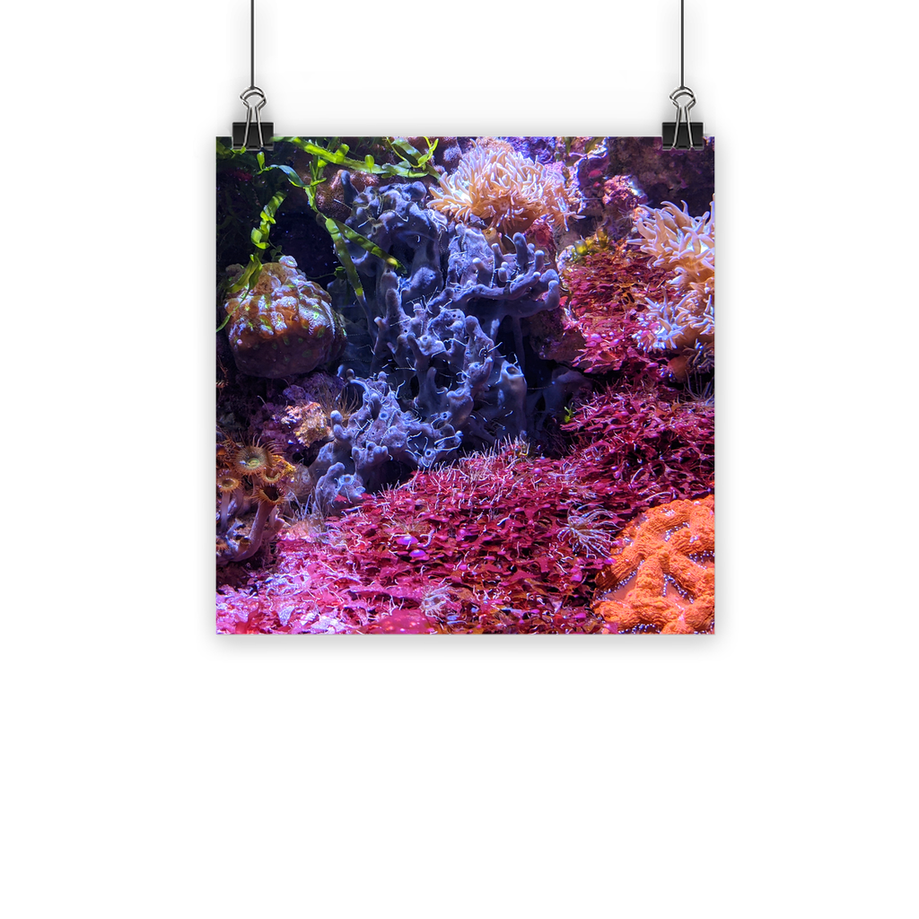 Aquarium Classic Poster featuring vibrant aquatic life printed on semi-gloss paper with Eco-Solvent inks.