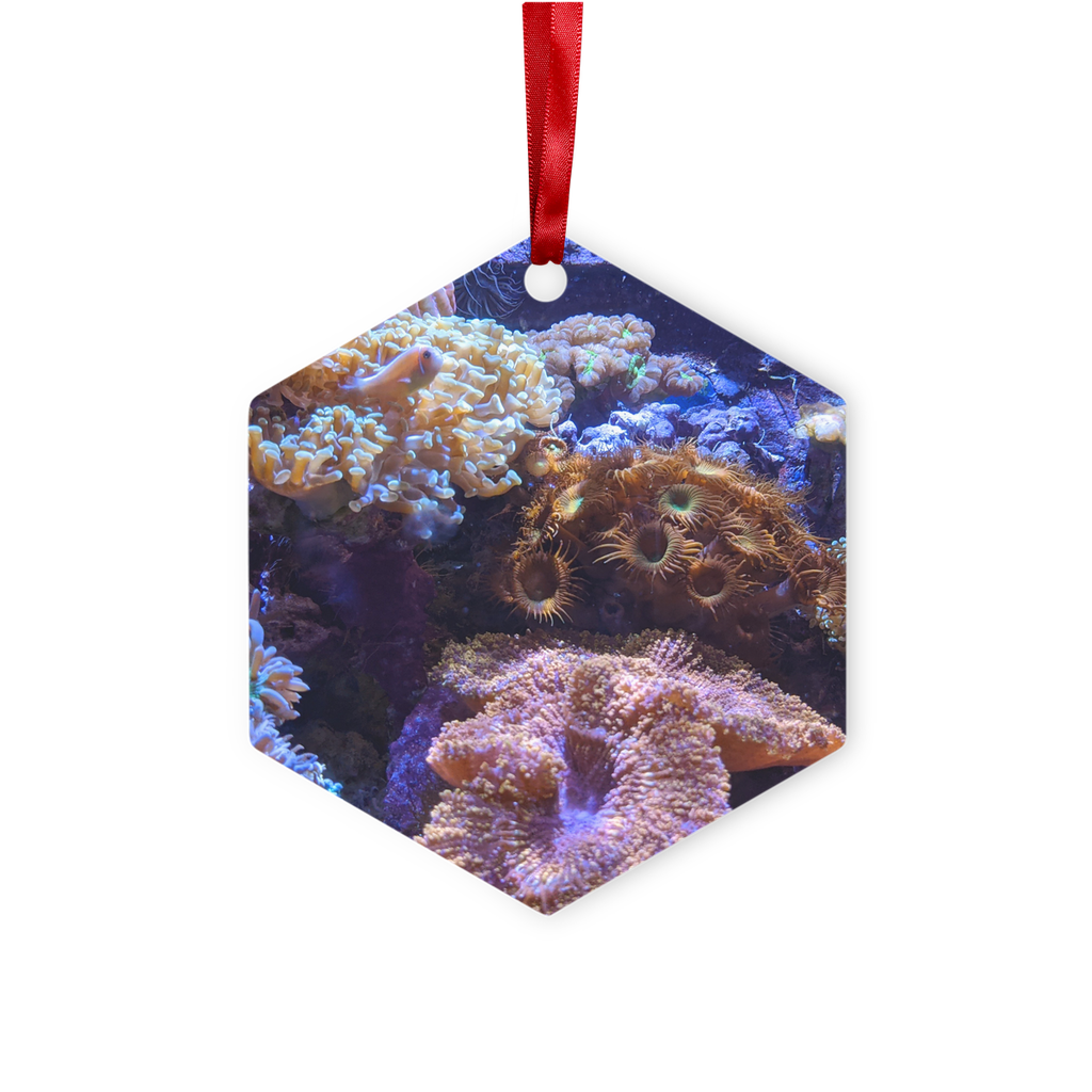 Aquarium Metal Hanging Ornament in hexagon and star shapes, featuring a gloss white finish and red ribbon for hanging.