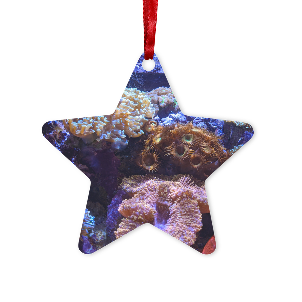 Aquarium Metal Hanging Ornament in hexagon and star shapes, featuring a gloss white finish and red ribbon for hanging.