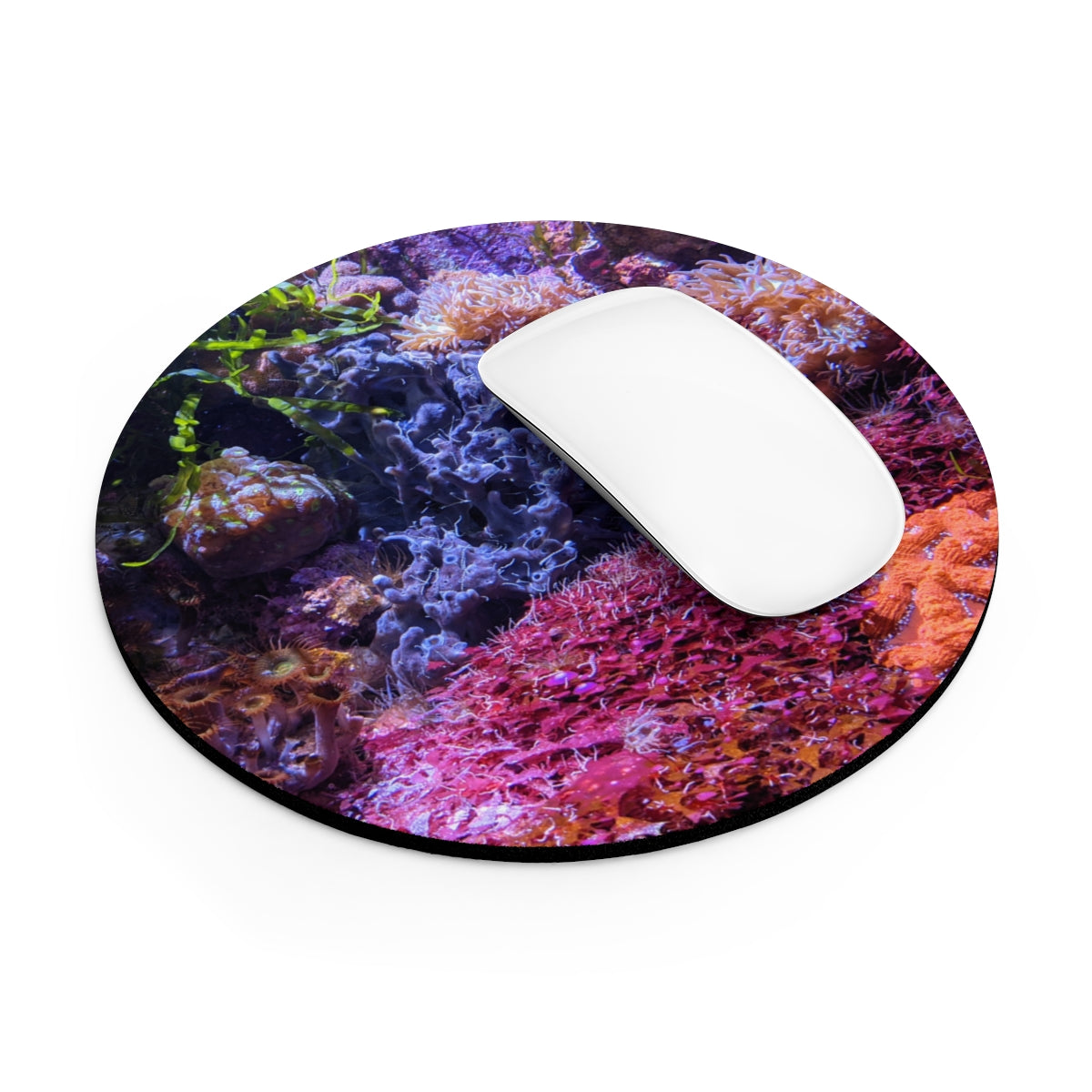 Aquarium Mouse Pad featuring vibrant aquatic designs in round and rectangular shapes, with a non-slip rubber bottom.