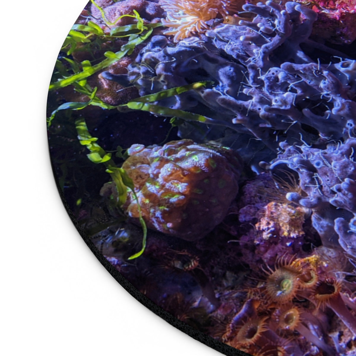 Aquarium Mouse Pad featuring vibrant aquatic designs in round and rectangular shapes, with a non-slip rubber bottom.