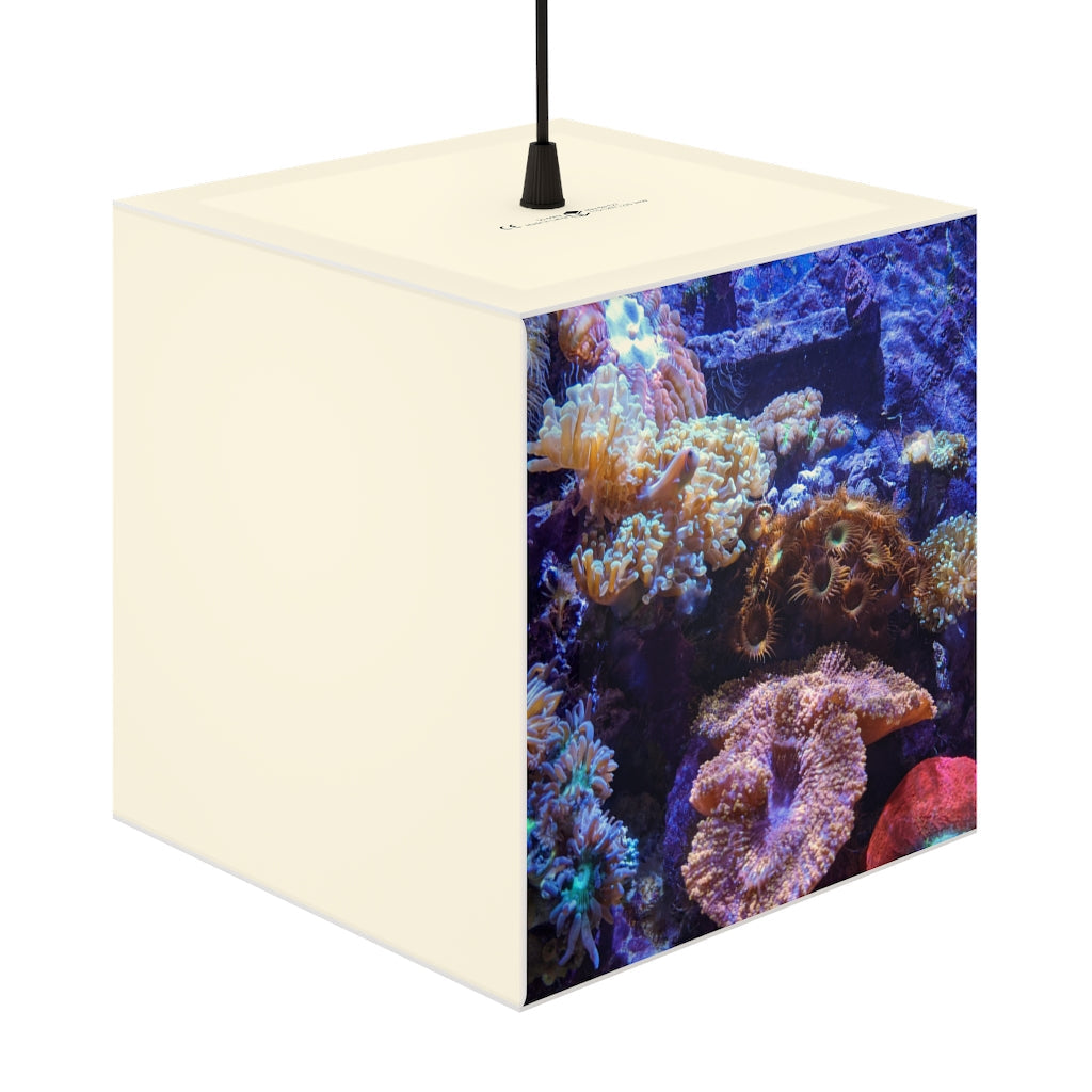 A stylish Aquarium Personalized Lamp in a cube shape, showcasing unique designs and soft lighting, perfect for indoor decoration.