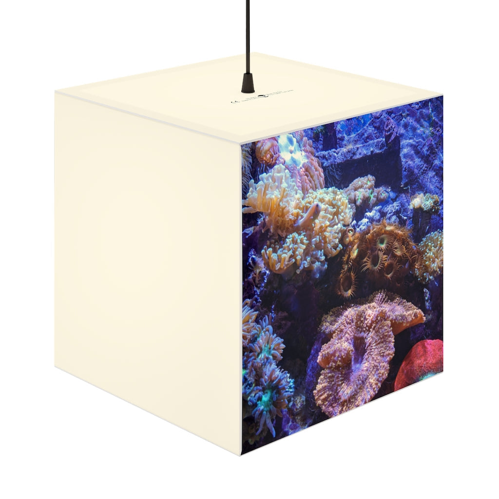 A stylish Aquarium Personalized Lamp in a cube shape, showcasing unique designs and soft lighting, perfect for indoor decoration.