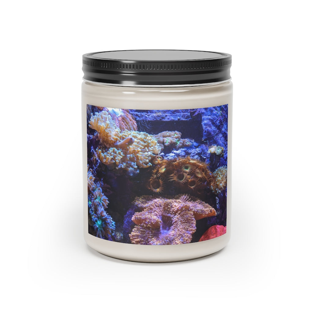 Aquarium Scented Candle in a glass container, featuring a permanent adhesive label, showcasing its soothing aroma and eco-friendly design.