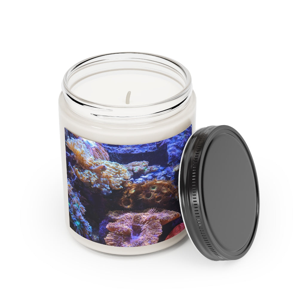 Aquarium Scented Candle in a glass container, featuring a permanent adhesive label, showcasing its soothing aroma and eco-friendly design.