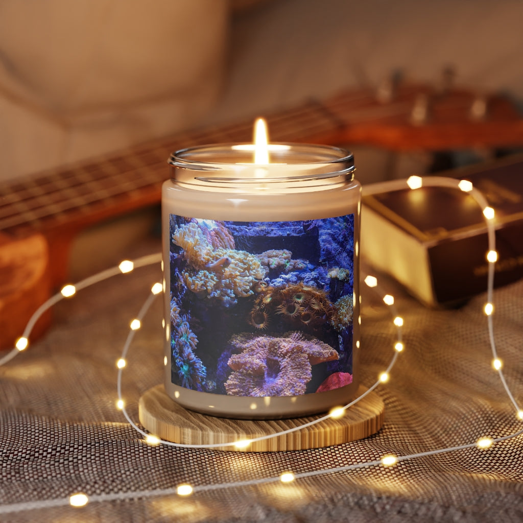 Aquarium Scented Candle in a glass container, featuring a permanent adhesive label, showcasing its soothing aroma and eco-friendly design.