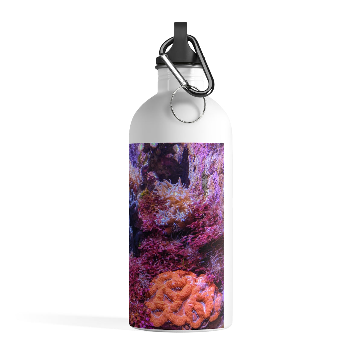 Aquarium Stainless Steel Water Bottle with vibrant print and plastic screw top, ideal for hydration on the go.