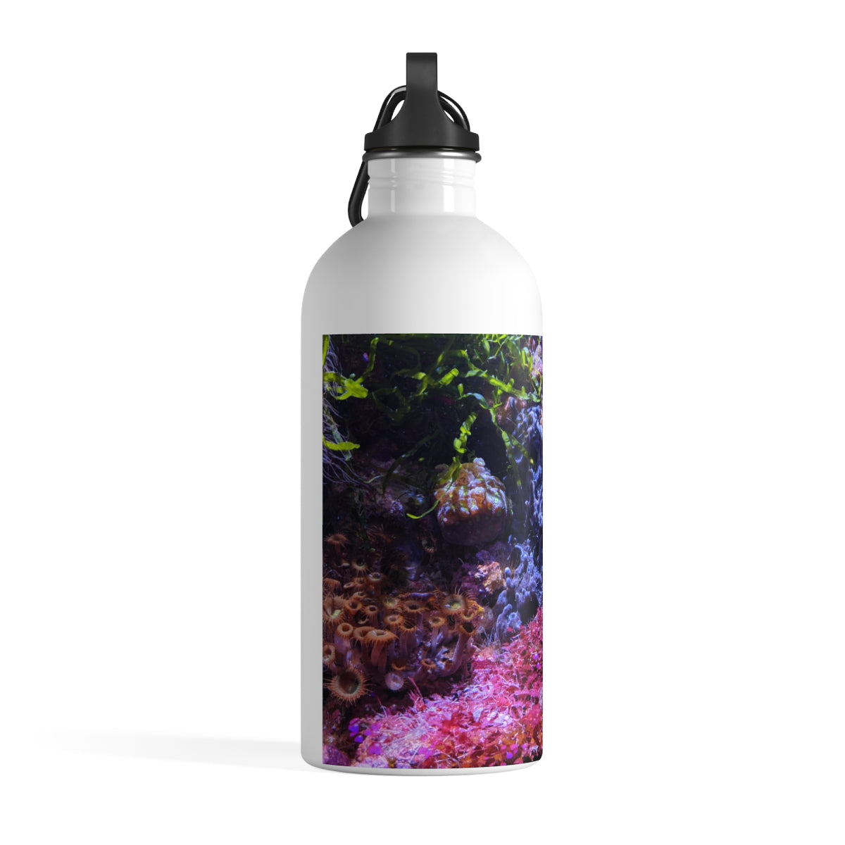 Aquarium Stainless Steel Water Bottle with vibrant print and plastic screw top, ideal for hydration on the go.