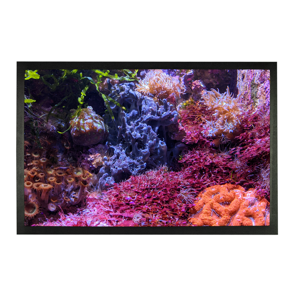 Aquarium-themed sublimation doormat made of rubber with a polyester patch, showcasing vibrant colors and a customizable design.