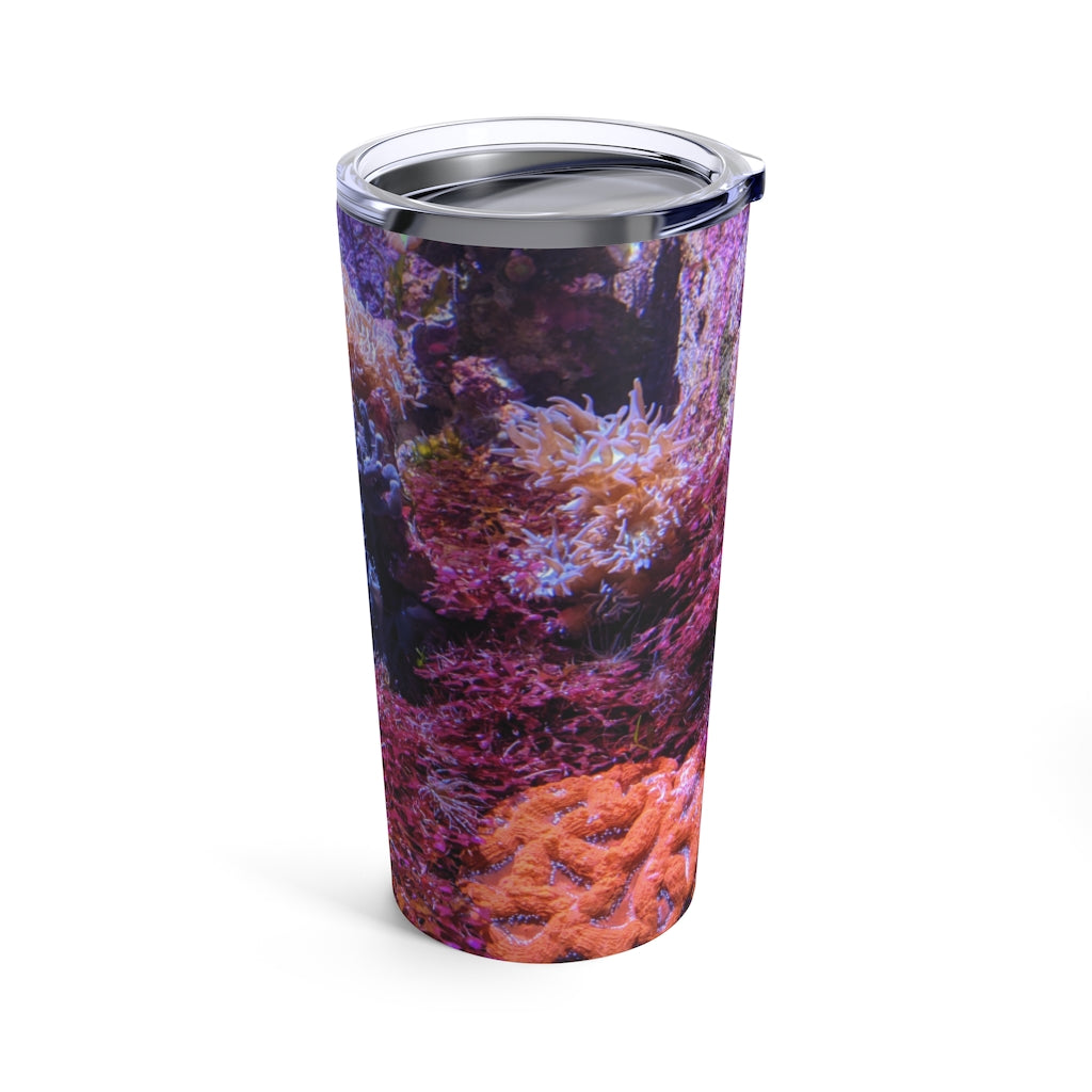 20oz stainless steel Aquarium Tumbler with a see-thru plastic lid, showcasing a sleek design and rounded corners.