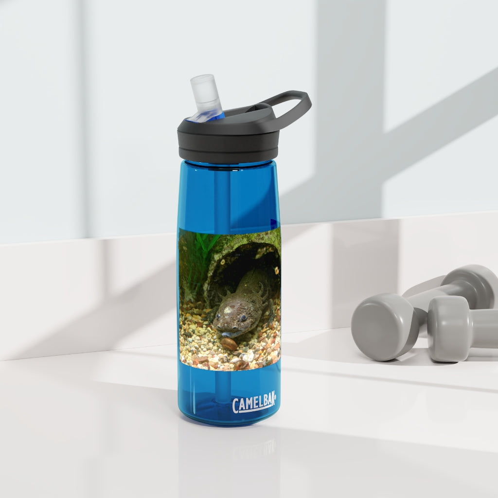 Axolotl CamelBak Eddy® Water Bottle in vibrant colors, showcasing its ergonomic design and spill-proof biting valve.