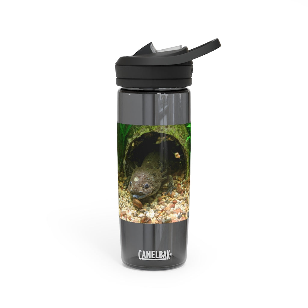 Axolotl CamelBak Eddy® Water Bottle in vibrant colors, showcasing its ergonomic design and spill-proof biting valve.