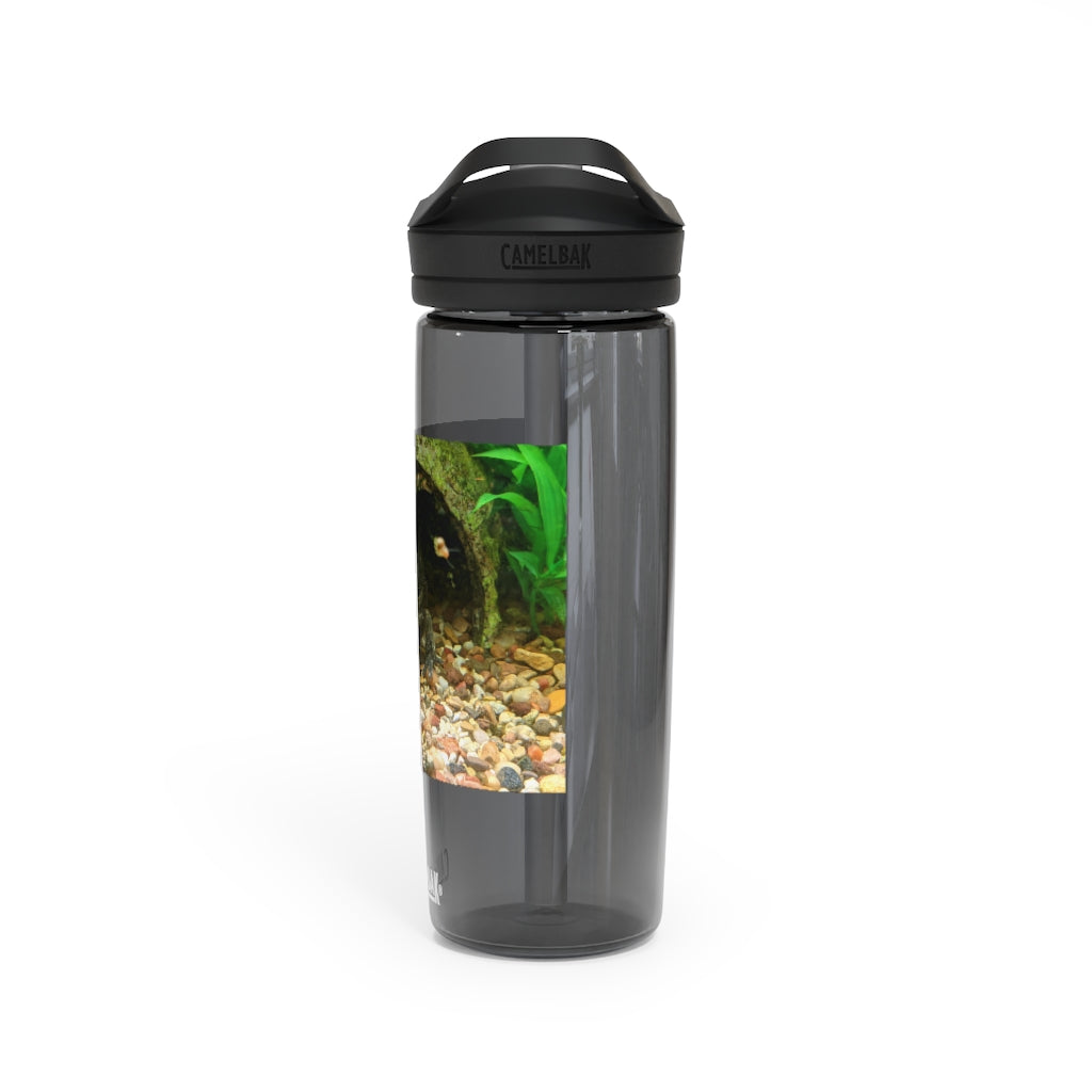 Axolotl CamelBak Eddy® Water Bottle in vibrant colors, showcasing its ergonomic design and spill-proof biting valve.