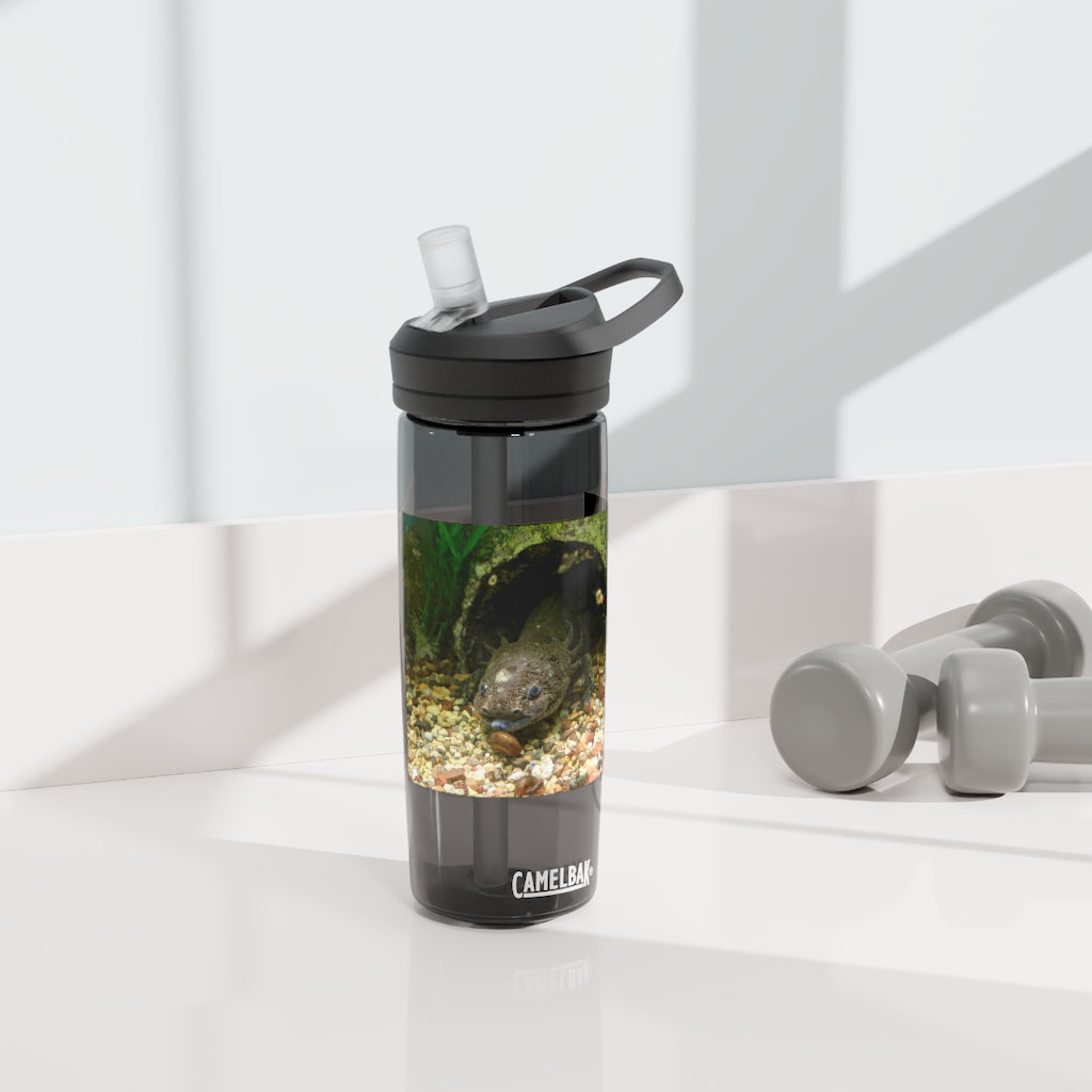 Axolotl CamelBak Eddy® Water Bottle in vibrant colors, showcasing its ergonomic design and spill-proof biting valve.