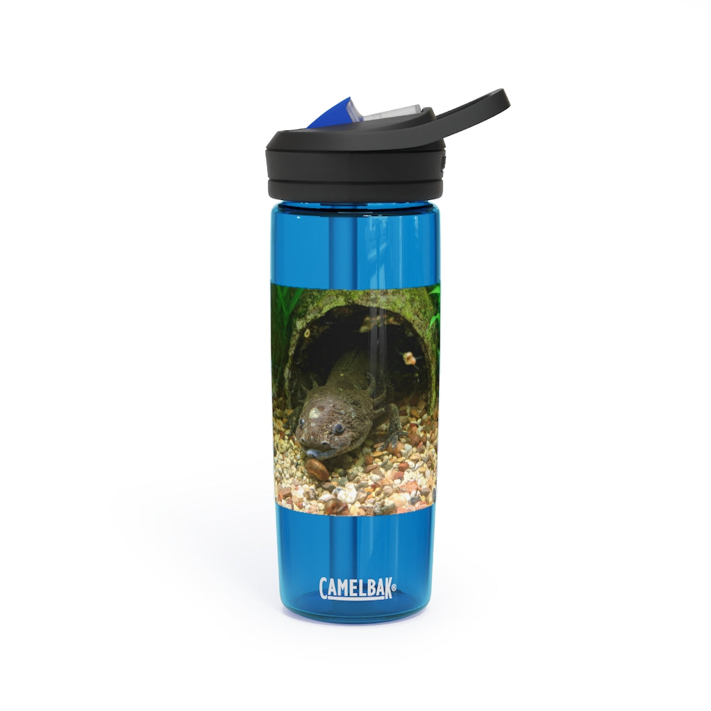 Axolotl CamelBak Eddy® Water Bottle in vibrant colors, showcasing its ergonomic design and spill-proof biting valve.