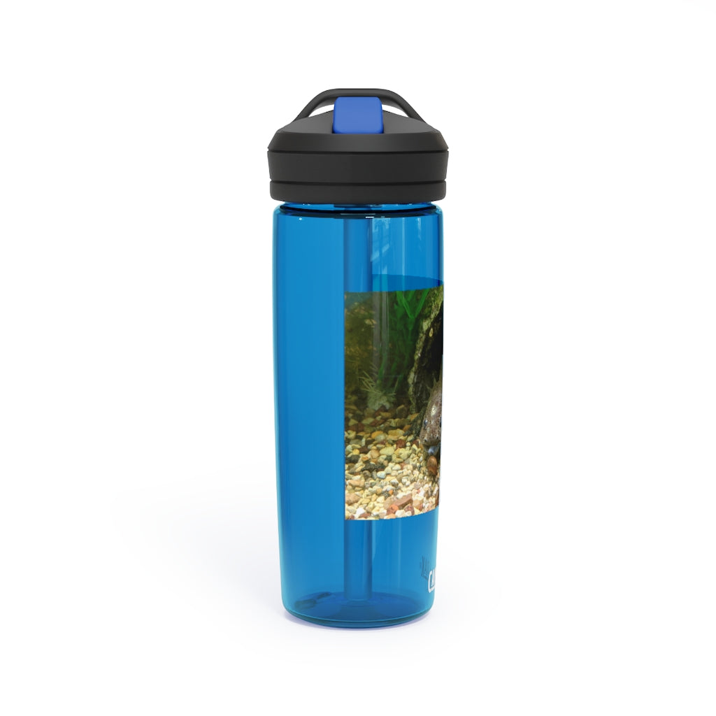 Axolotl CamelBak Eddy® Water Bottle in vibrant colors, showcasing its ergonomic design and spill-proof biting valve.