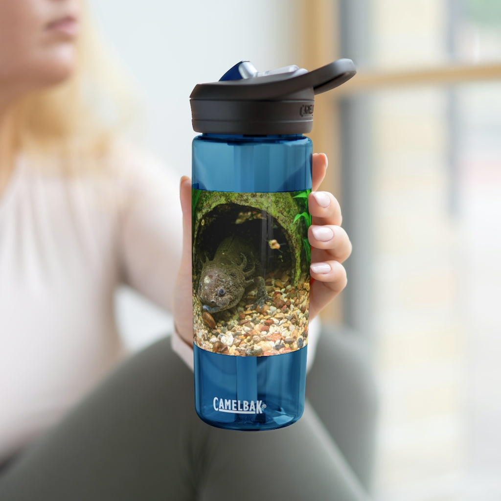 Axolotl CamelBak Eddy® Water Bottle in vibrant colors, showcasing its ergonomic design and spill-proof biting valve.