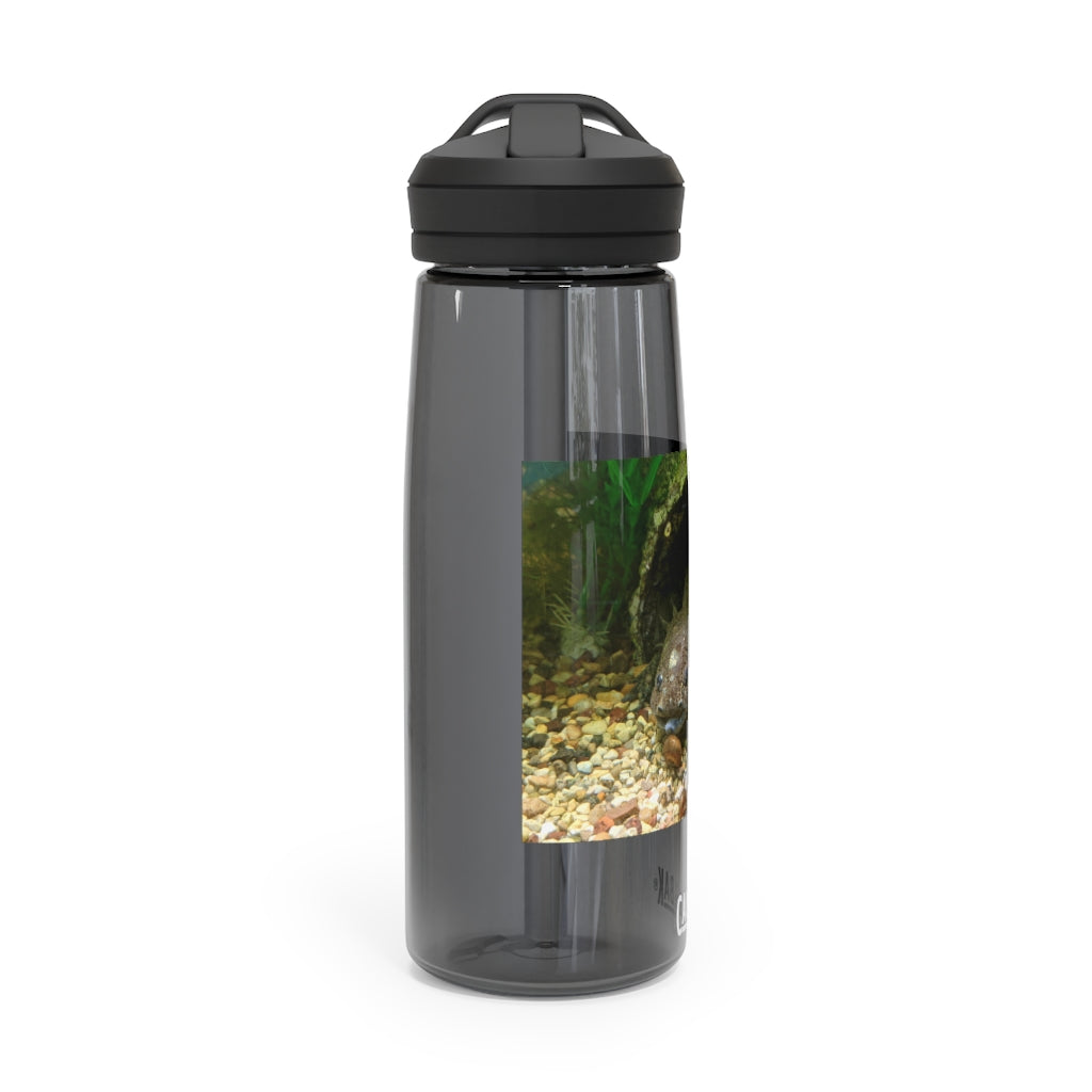 Axolotl CamelBak Eddy® Water Bottle in vibrant colors, showcasing its ergonomic design and spill-proof biting valve.