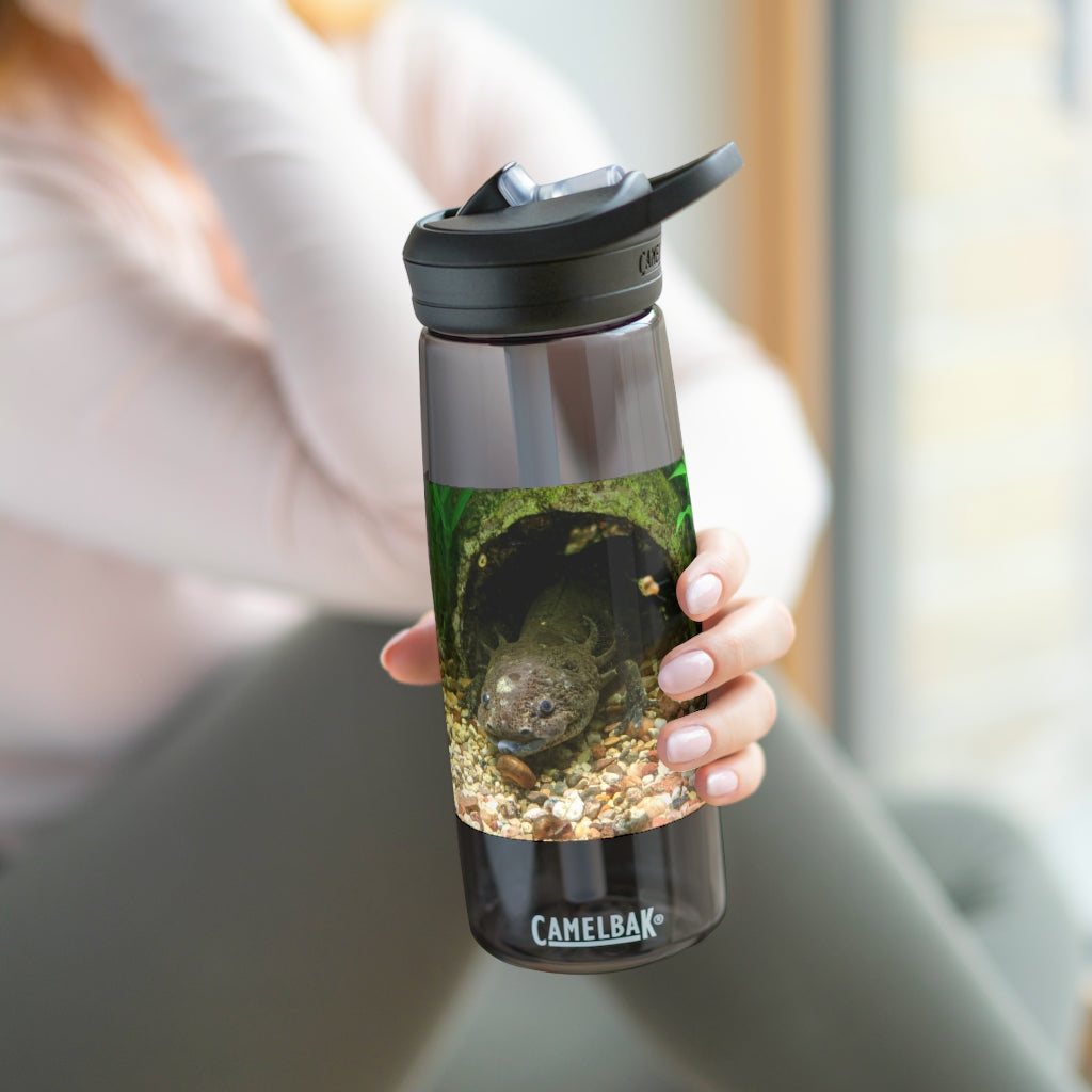 Axolotl CamelBak Eddy® Water Bottle in vibrant colors, showcasing its ergonomic design and spill-proof biting valve.