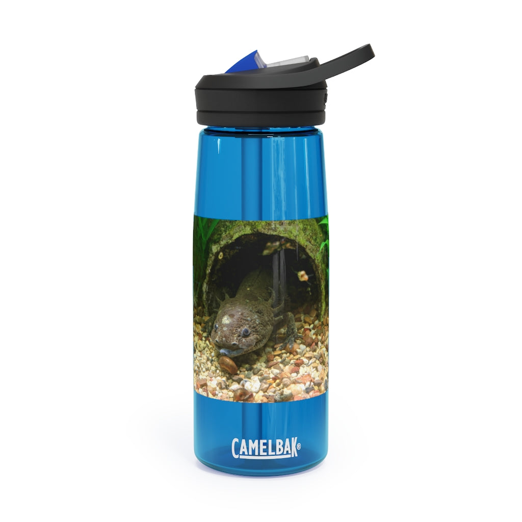 Axolotl CamelBak Eddy® Water Bottle in vibrant colors, showcasing its ergonomic design and spill-proof biting valve.